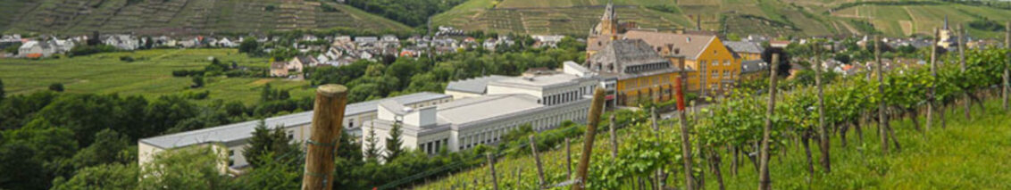 Gymnasium Calvarienberg