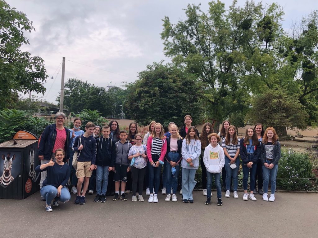 Tagesausflug zum Kölner Zoo - Gymnasium Calvarienberg