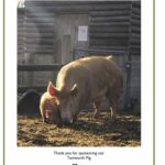 Doppeltes Glück: Die 5b ist auf das Schwein gekommen - Gymnasium Calvarienberg