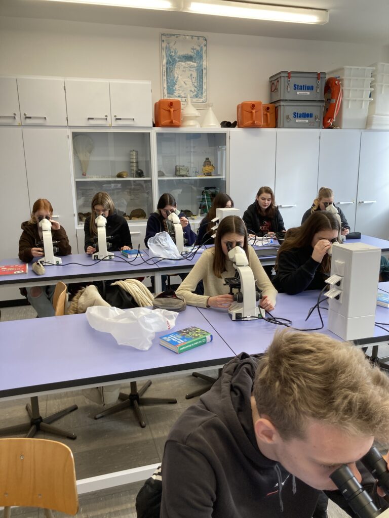 Biologie-Leistungskurse des Calvarienbergs erleben das Ökosystem Maar hautnah - Gymnasium Calvarienberg