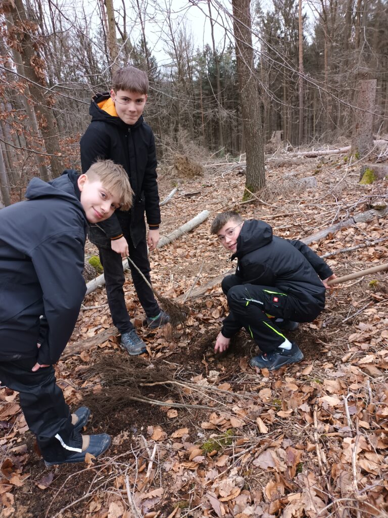 Das Wiederaufforstungsprojekt „Forst Calvarienberg“ - Gymnasium Calvarienberg