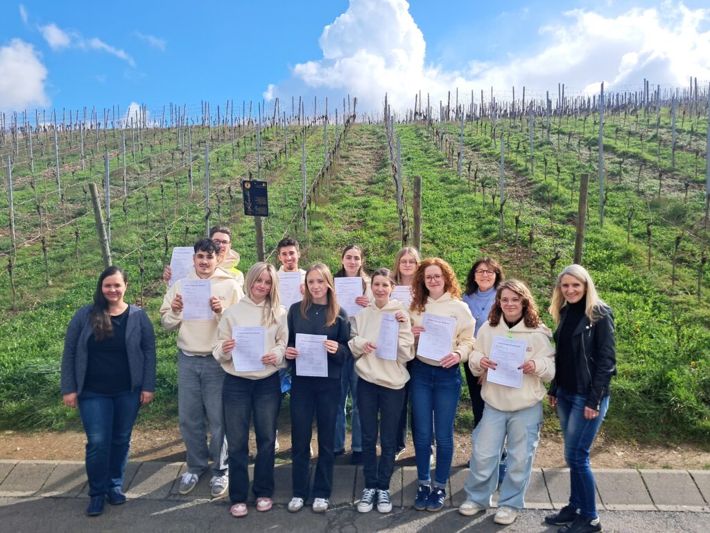 Félicitations! Elfmal Erfolg beim DELF-Diplom - Gymnasium Calvarienberg